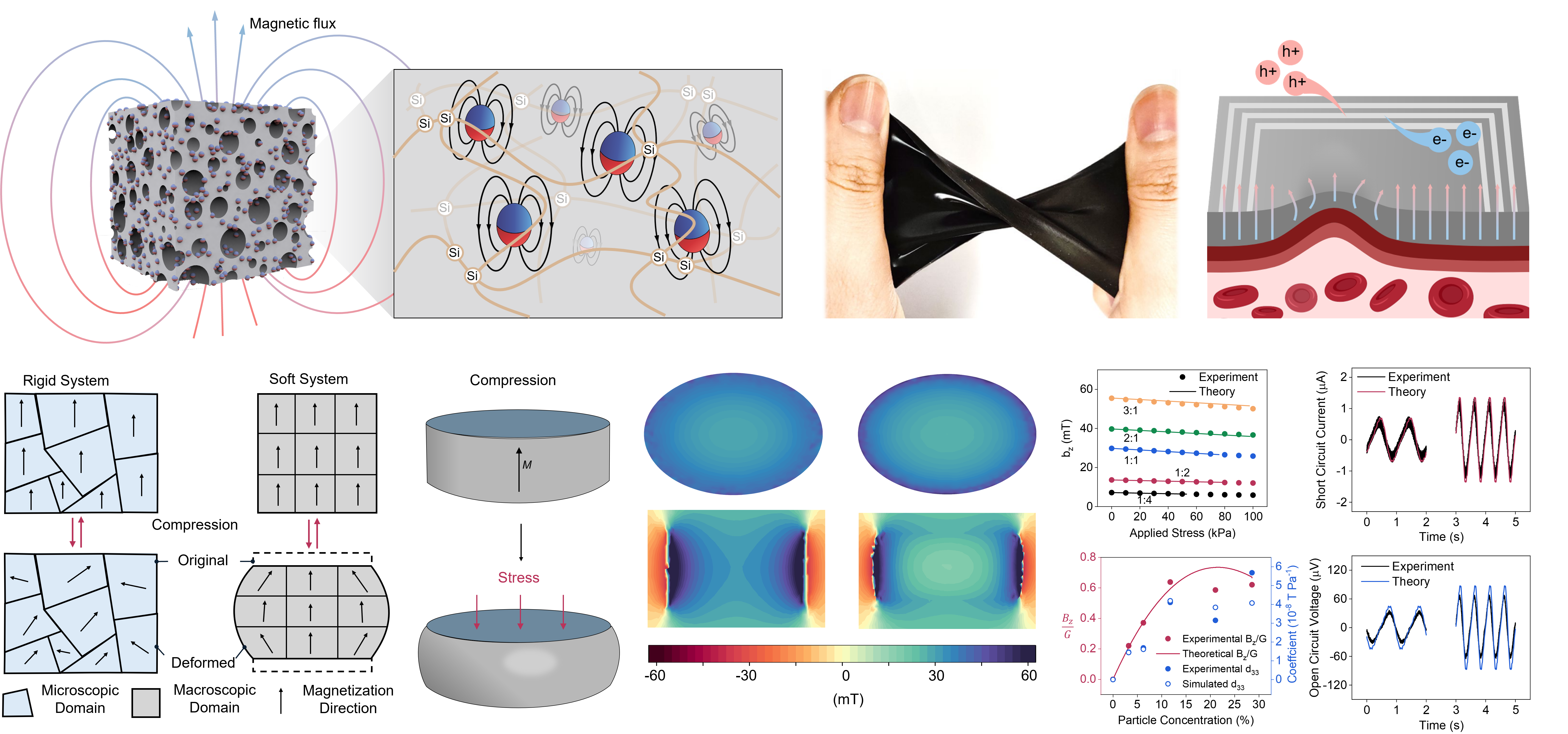Magnetoelastic effect in soft material systems